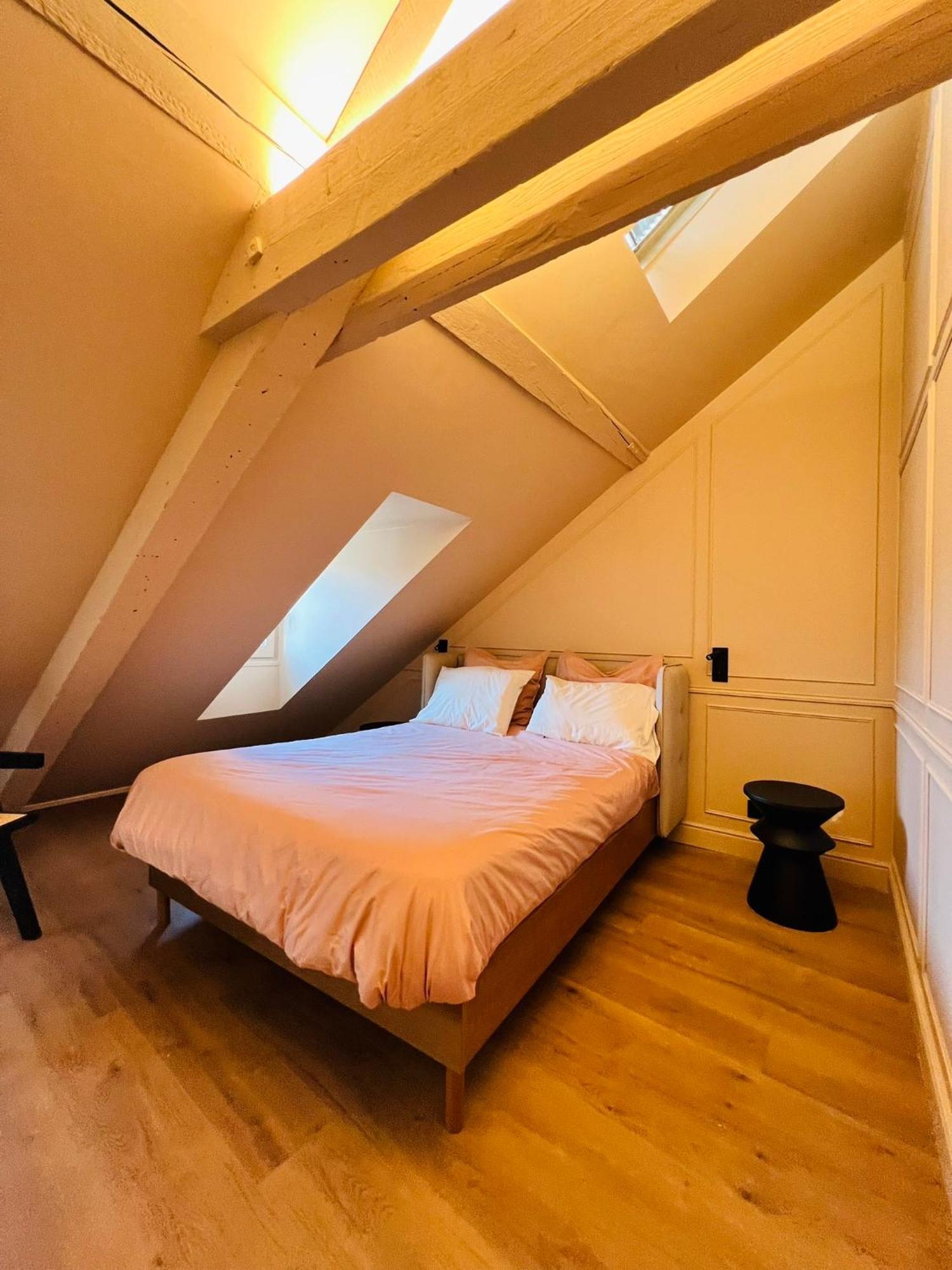 Chez Sandrine, Mon Appartement Elegant + Parking Strasbourg Exteriör bild